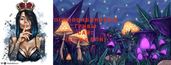 стафф Абдулино