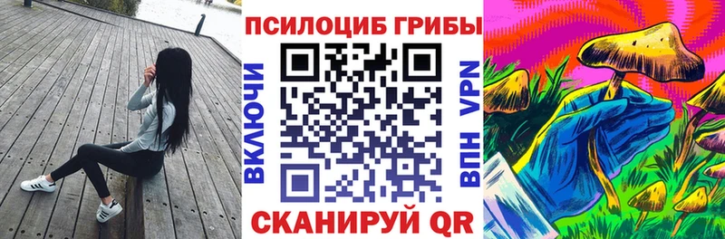 дарнет шоп  мега ТОР  Псилоцибиновые грибы прущие грибы  Вилюйск 