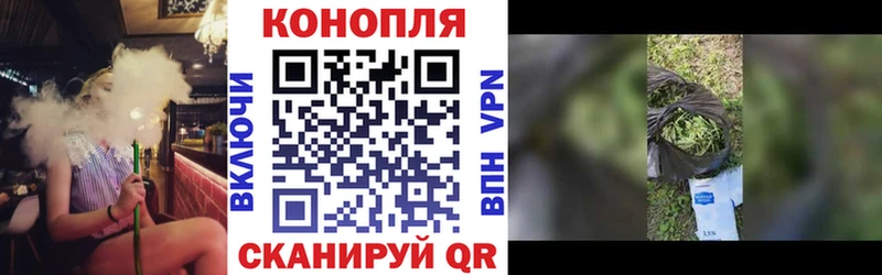 Бошки Шишки семена Вилюйск